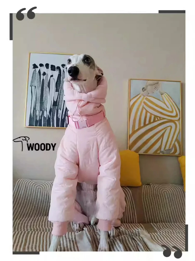 Ropa rosa de Whippet para niña, abrigo acolchado con cuello de tortuga para perro, Chaqueta de algodón ajustable cálida para galgo italiano, invierno - imagen 2
