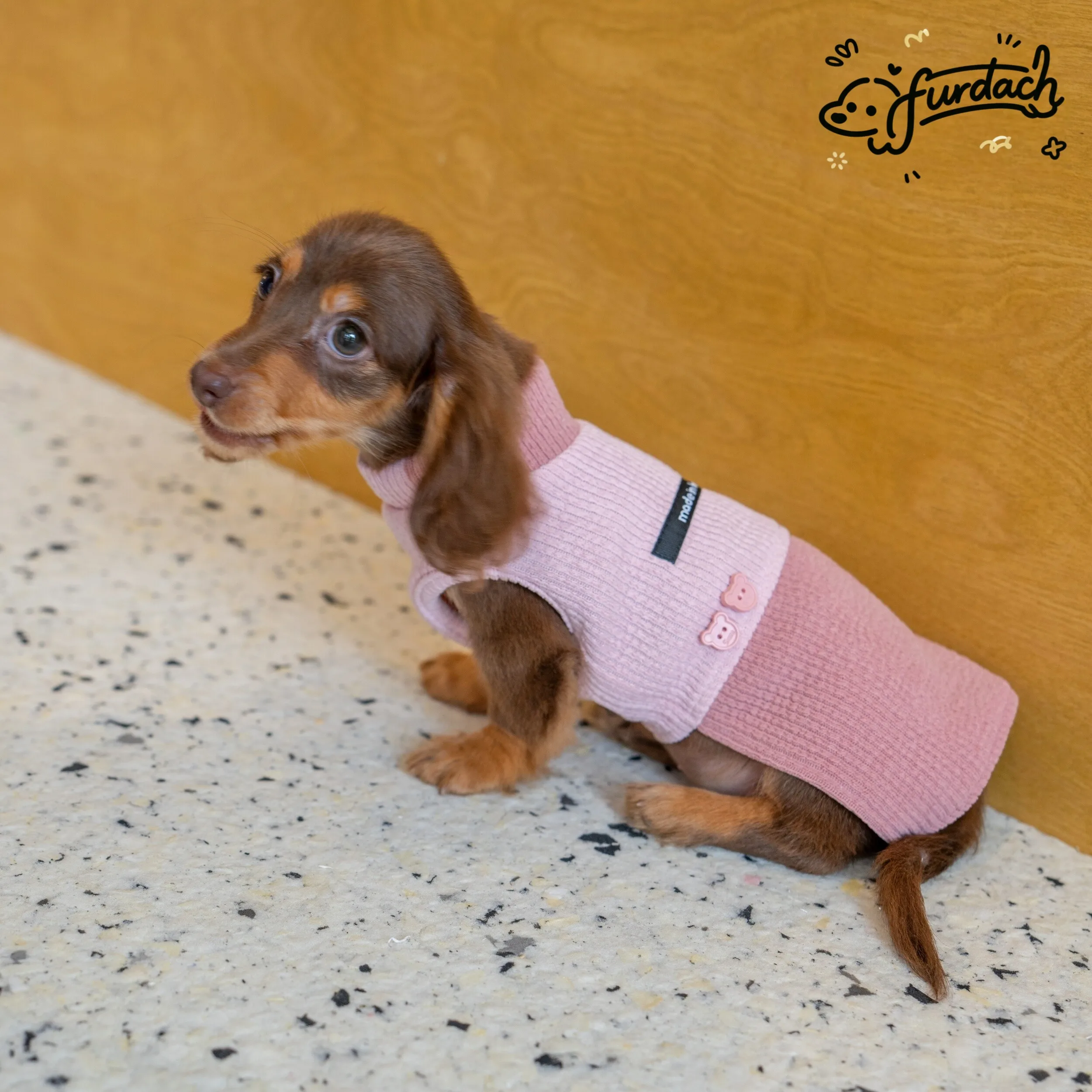 Chaleco sin mangas para Dachshund, algodón antiestático - imagen 4