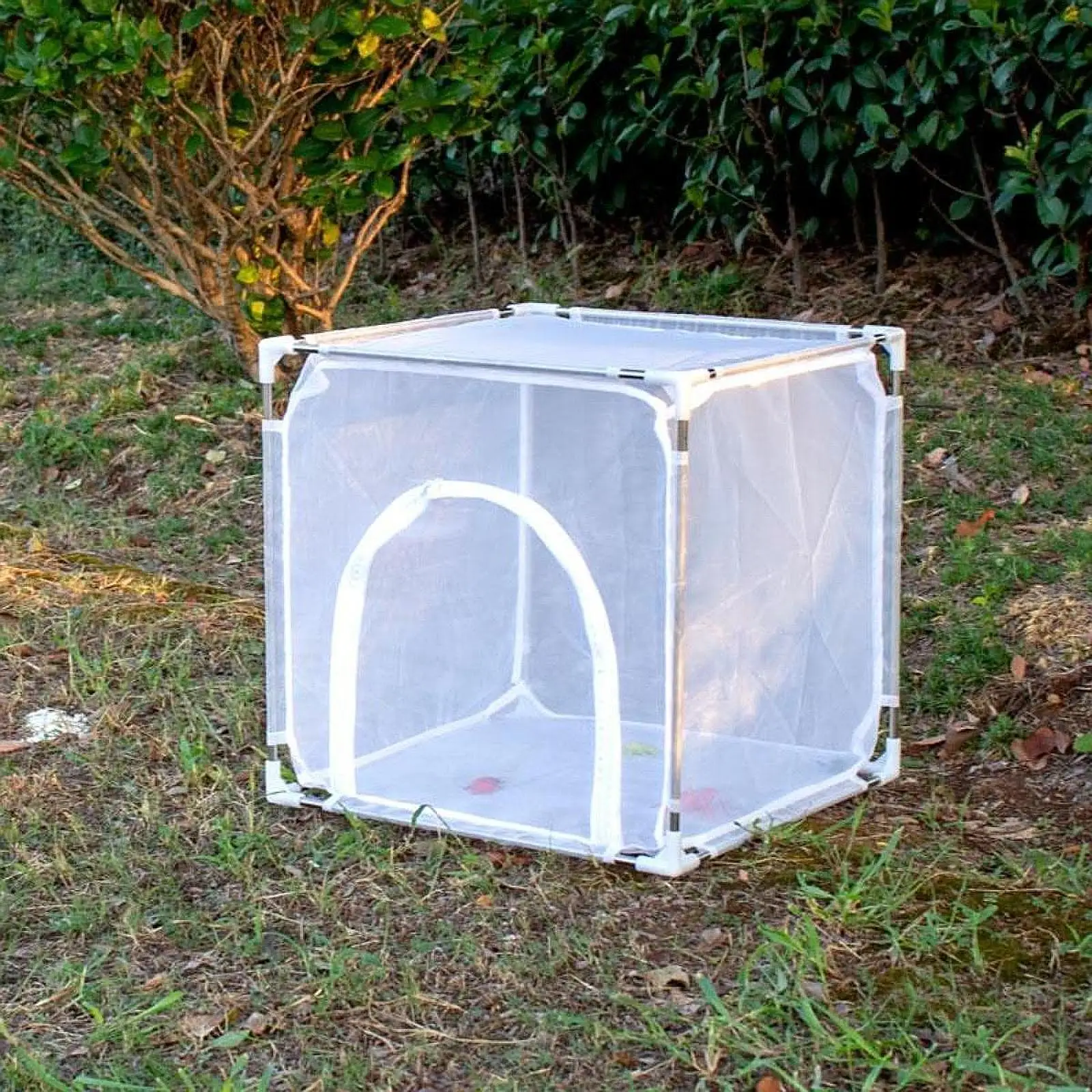 Butterfly Habitat Cage Freestanding Insect Rearing Cage for Garden Farm Yard