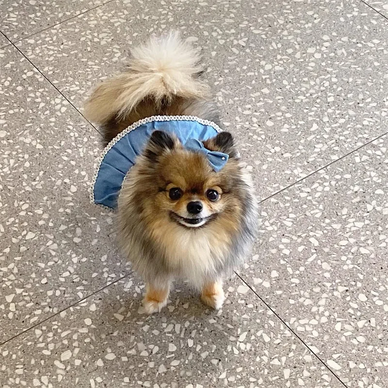 Falda vaquera para mascotas de primavera, camisola para gatos, chaleco, vestido vaquero con lazo, ropa para perros pequeños y medianos, ropa para cachorros - imagen 3