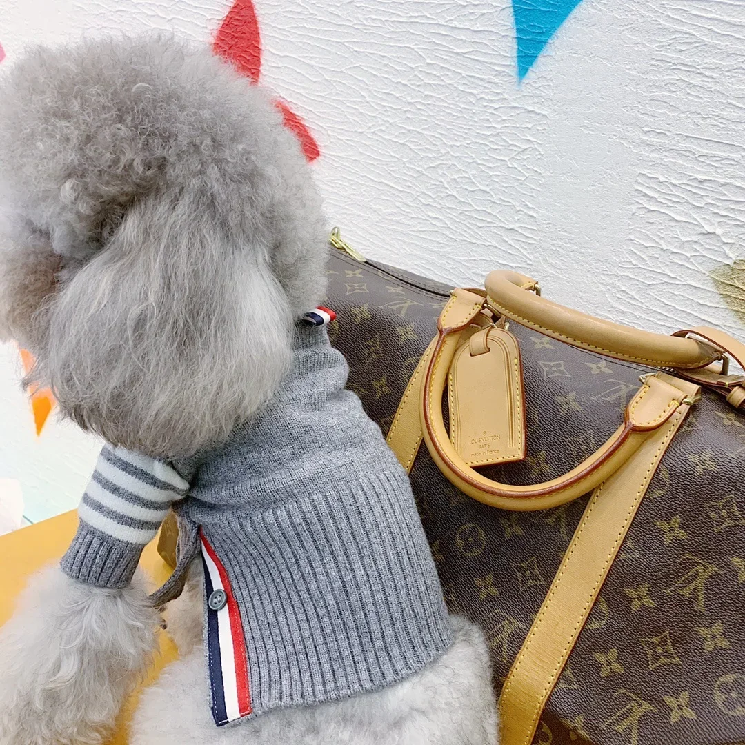 Ropa para perros y gatos, suéter de otoño e invierno, cárdigan, moda inglesa, corto, azul, gato, peluche, Chenery, ropa para mascotas - imagen 2