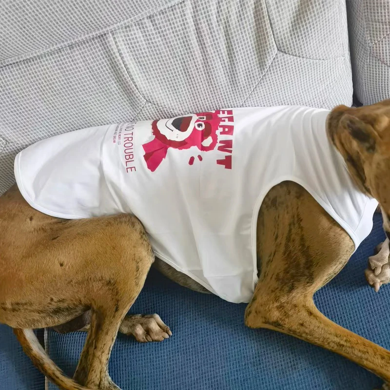 Chaleco refrescante de verano para perro Whipbit, ropa sin mangas, abrigo suave elástico para pijamas de verano Bedlington Greyhound - imagen 3