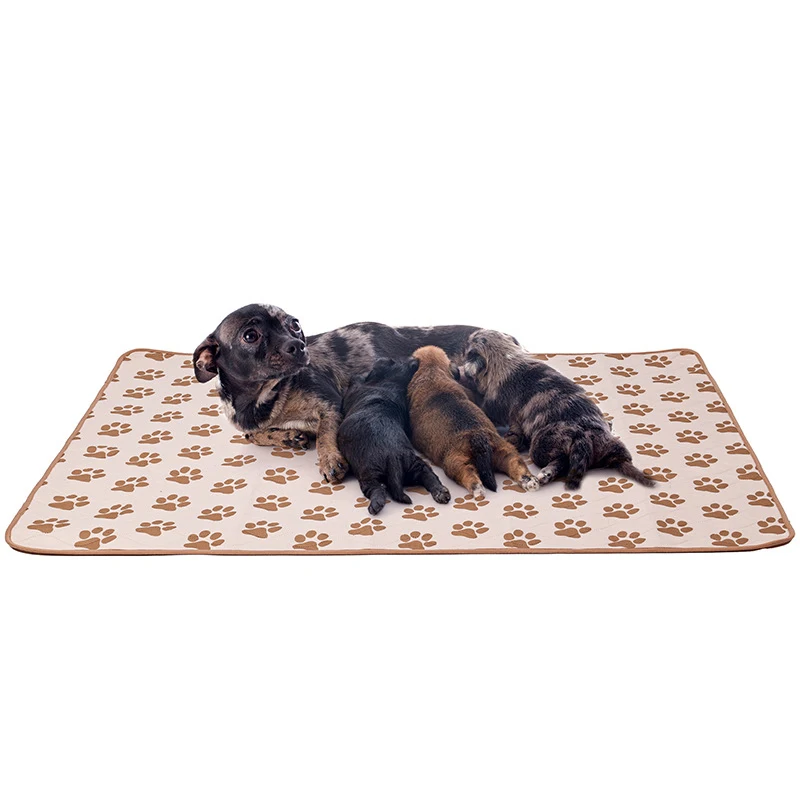 Almohadilla reutilizable para orinar para perros, alfombrilla para pañales absorbente, impermeable, lavable, almohadilla de entrenamiento para cachorros, funda para asiento de coche para perros, alfombrilla para mascotas, suministros para perros - imagen 3
