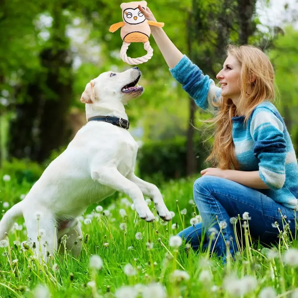 Juguete chirriante de peluche para perro, cuerda de algodón, búho, juguete para masticar y dentición, juguete creativo interactivo para mascotas - imagen 3