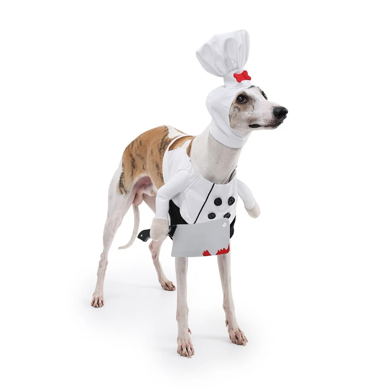 Ropa de Halloween para perros, ropa divertida para perros y gatos, ropa para Chef de transformación, ropa para perros grandes, disfraz creativo bonito para cachorros y gatitos