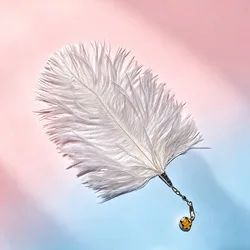 Accesorios de plumas para juguetes para gatos – Cabezas de repuesto