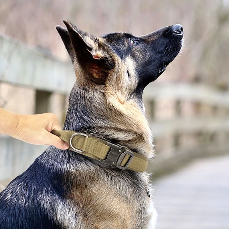 Collar táctico de entrenamiento para perros de policía, correa resistente, accesorios para mascotas para perros medianos y grandes, collares Rottweller belgas Malinois - imagen 3