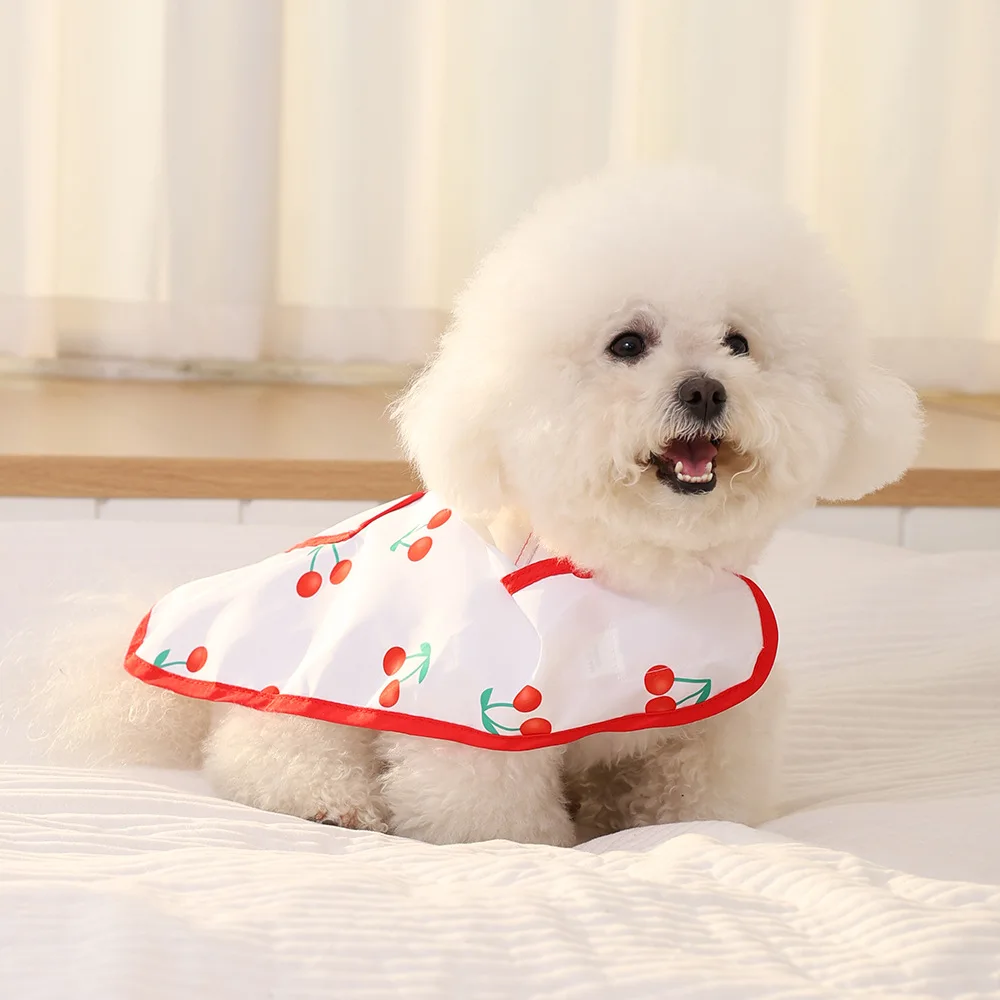Chubasquero de primavera para mascotas, ropa impermeable para perros, capa de cereza bonita de tamaño pequeño y mediano, abrigo protector solar a prueba de viento para gatos - imagen 4