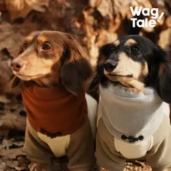 Abrigo de invierno con cuello alto para perro salchicha