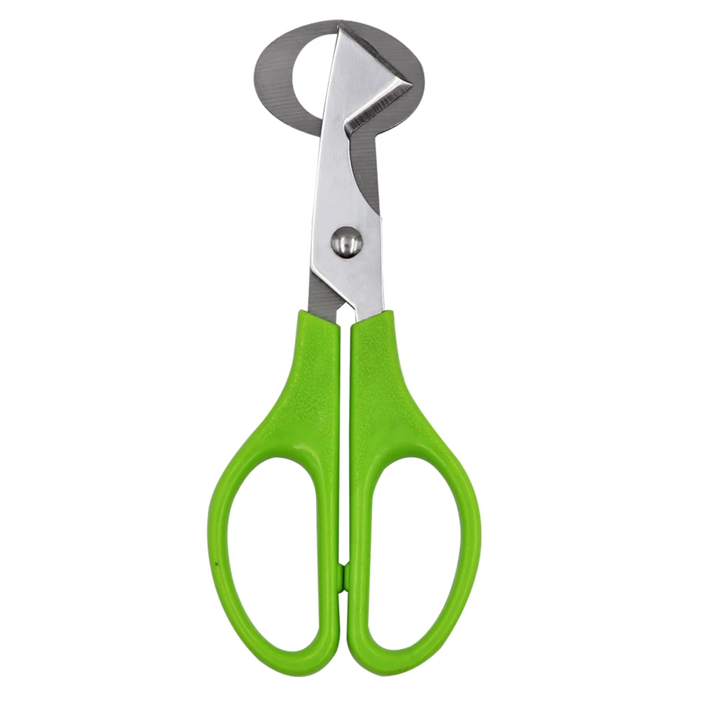Tijeras de acero inoxidable para cortar huevos de codorniz, herramienta de cocina, 10 piezas - imagen 4