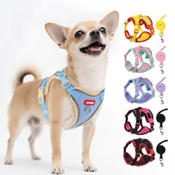 Arnés con correa para perros pequeños Pinscher y Chihuahua