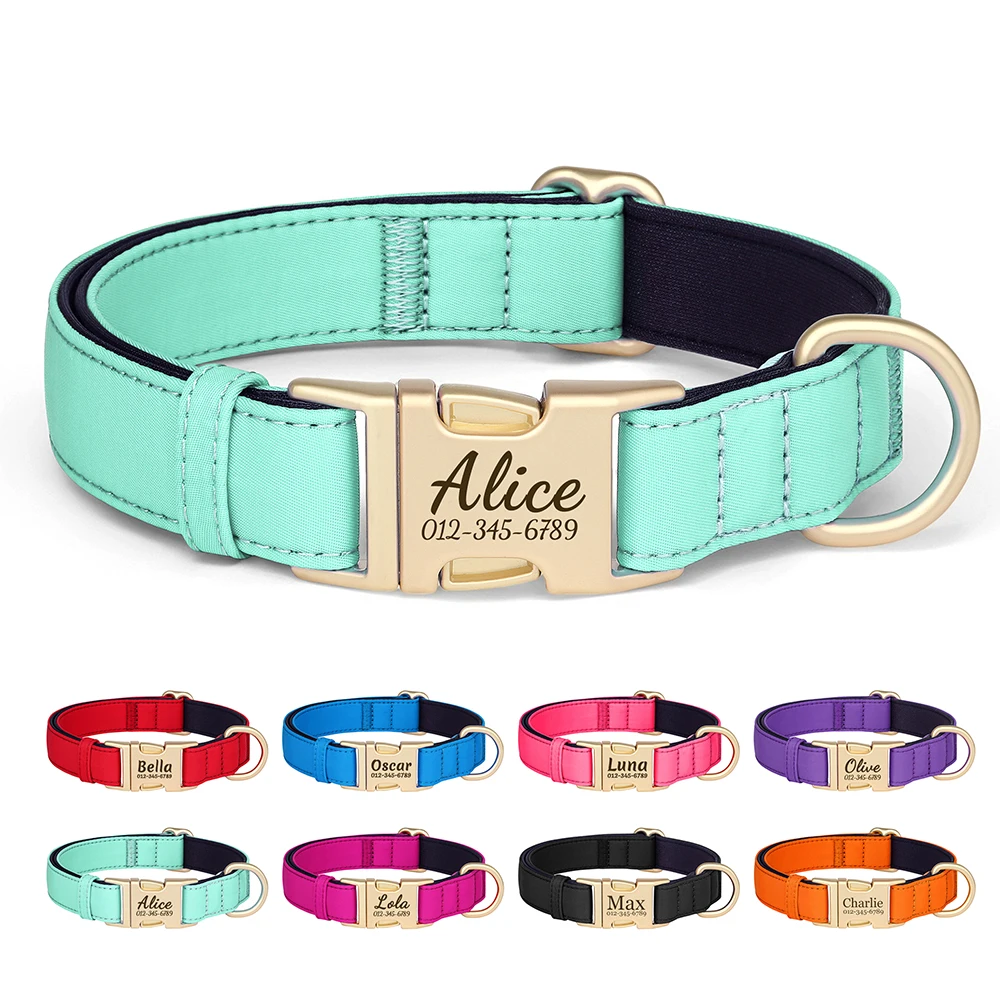 Collar personalizado para perro con placa identificativa - imagen 2