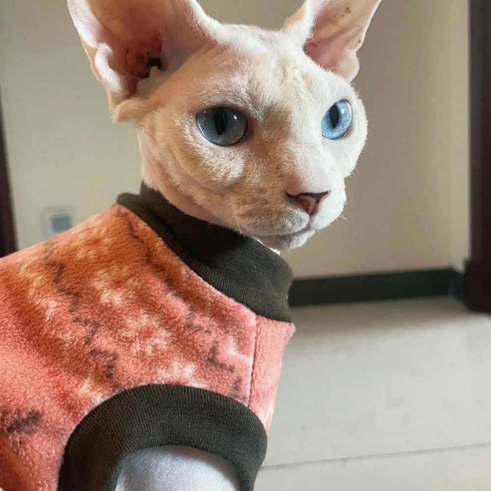 Suéter de invierno para gatos y perros Sphynx y Devon Rex – Naranja - imagen 5
