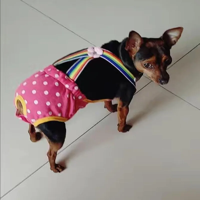 Pañales lavables para cachorros y perros, pantalones fisiológicos para mascotas para perros pequeños y medianos, pantalones cortos para Chihuahua Pinscher, bragas, calzoncillos para gatos - imagen 4