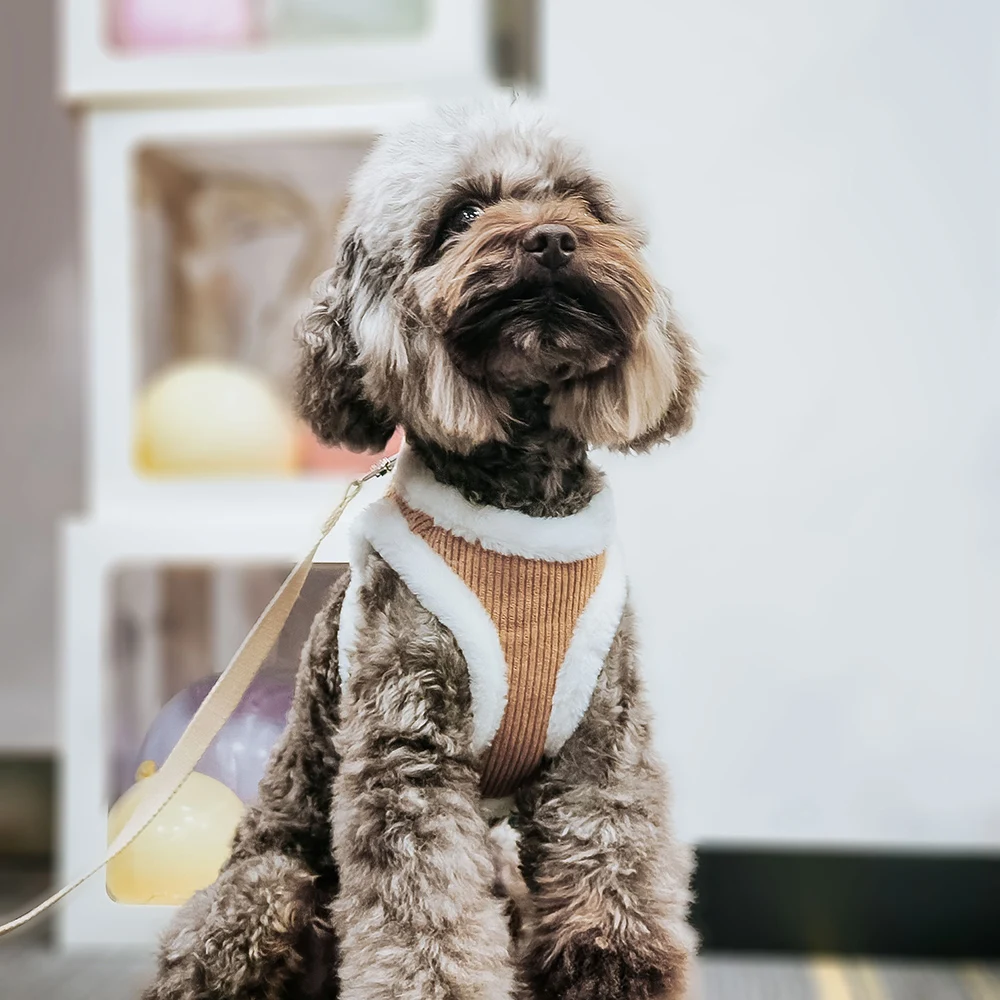 Conjunto de correa y arnés para perro cálido de invierno, chaleco suave de felpa para cachorros y gatos, arneses para perros pequeños y medianos, arneses para Chihuahua Yorkie con plomo a juego - imagen 5