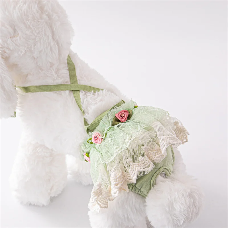 Pantalones fisiológicos bonitos de encaje para mascotas, pantalones fisiológicos para perros pequeños y gatos, pantalones menstruales de seguridad para perros masculinos, accesorios para mascotas - imagen 3