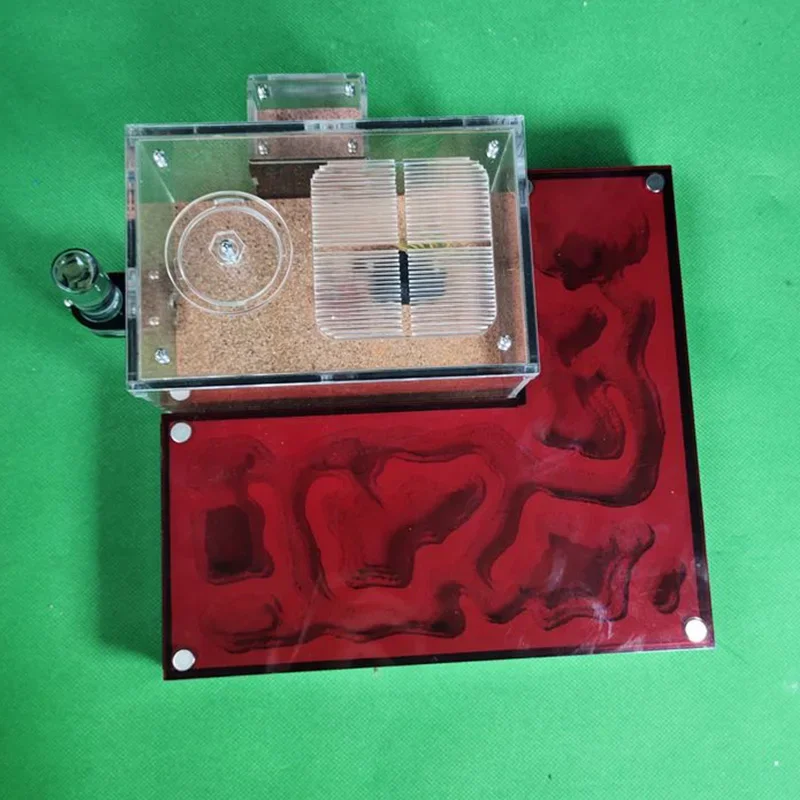 Gran granja de hormigas acrílicas, nido de hormigas de yeso ecológico, perrera de hormigas grandes, taller de antill para mascotas con arena de hormigas, casa de hormigas, Villa, caja de insectos - imagen 5