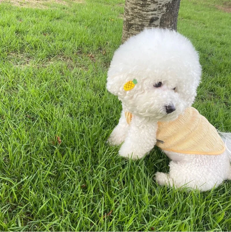 Ins lindo bonito a cuadros tirantes para perros mascota perro verano falda de encaje Teddy Pomeranian princesa falda cachorro lindo vestido de graduación - imagen 4