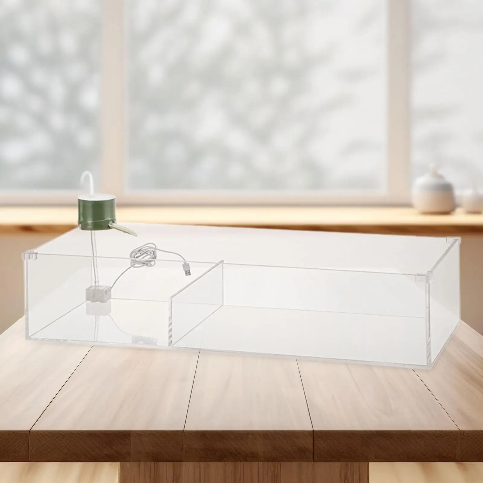 Turtle Tank with Adjustable Water Pump Filter, Full View Visually Tortoise Aquarium Habitat, Easy Changing Water and Clean