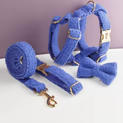 Conjunto collar y correa personalizado para perros con placa nombre