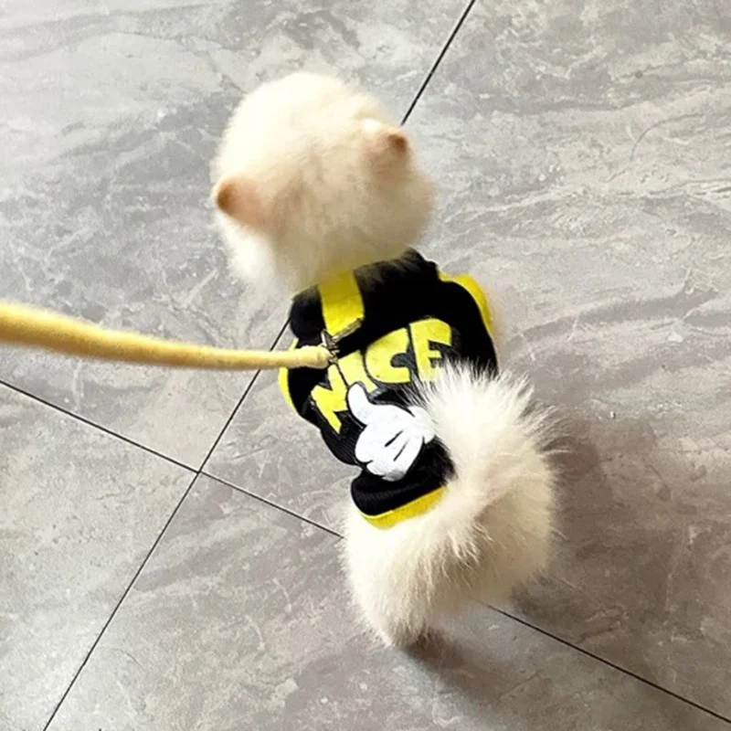 Chaleco sin mangas con hebilla para mascotas, ropa de verano para cachorros, perros pequeños, Pomerania, Pinscher, Schnauzer, gato - imagen 4