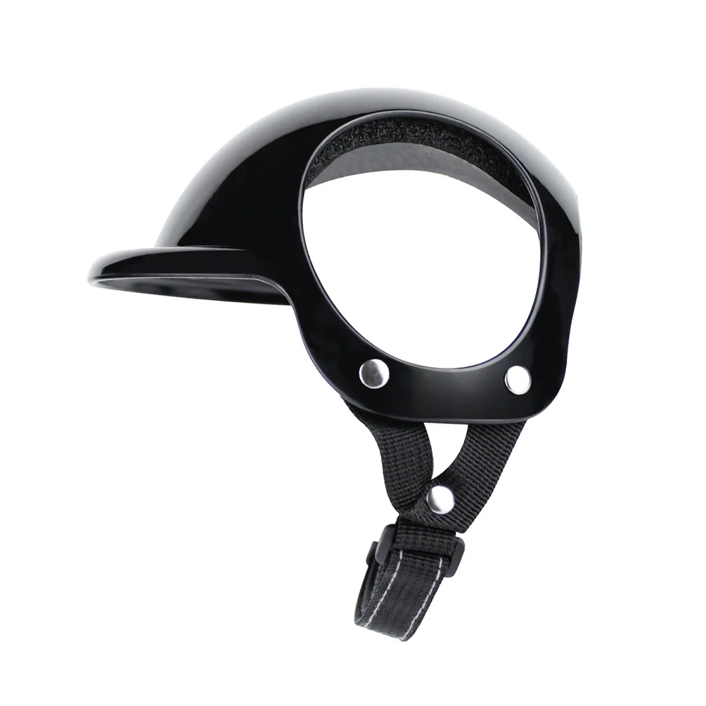 Casco en perro mediano mostrando durabilidad