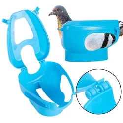 Soporte azul para inyección de alimento en palomas carreras