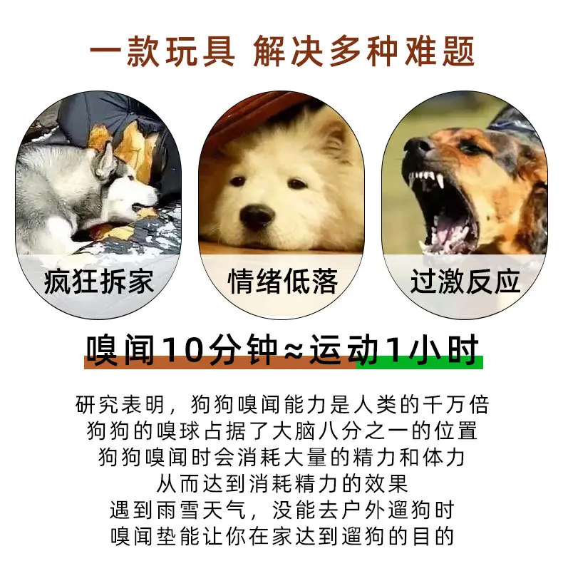 Ping Pong Smell Toys details page _04