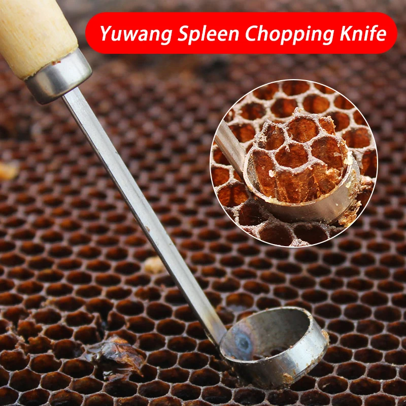 Apicultura sin injerto Kit de cría de reina peine cortador de base, cortador de marco de reina herramienta de corte Extractor equipo de apicultura - imagen 4