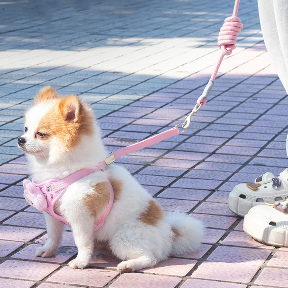 Conjunto de correa de arnés para mascotas para perros pequeños, arnés ajustable para cachorros y gatos, chaleco bonito para Chihuahua, correa para el pecho para caminar al aire libre, cuerda de tracción - imagen 2