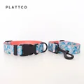 Dog Collar Leash Set
