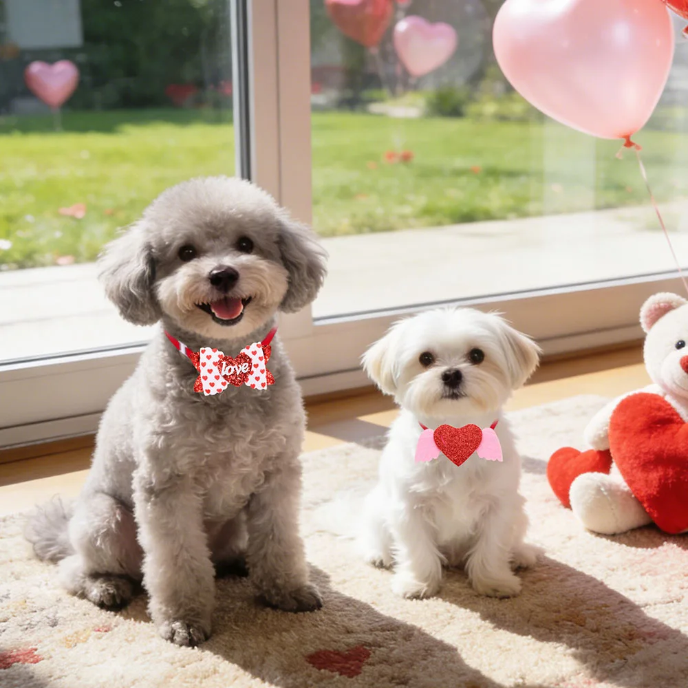 Pajarita roja San Valentín para perro y gato – Accesorio Estilo amor - imagen 4