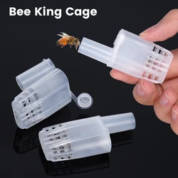 Jaula de abeja reina en plástico blanco para apicultura – set 5/10/20