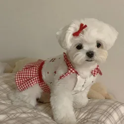 Vestido con lazo para cachorro de perro – Chaleco cómodo y suave