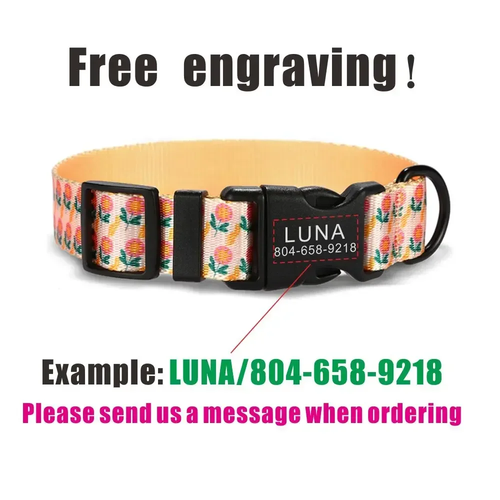 Collar de perro personalizado con grabado gratuito, correa para mascotas a juego, hebilla de contactos personalizados, Collar para mascotas de gato naranja - imagen 4