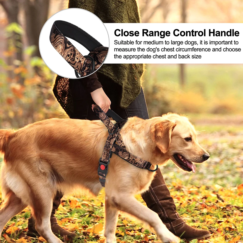 Arnés antin Tirones para perros – Ajustable, ideal para entrenamiento - imagen 5