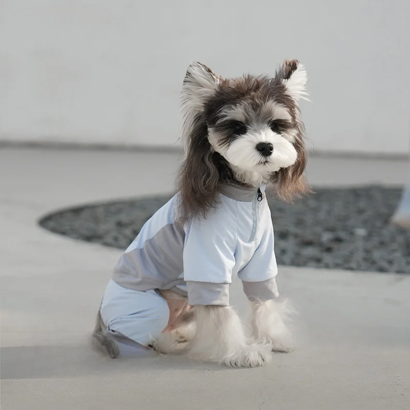 Ropa de verano para mascotas, chaqueta protectora solar, abrigo de cuatro patas de lujo Anti-UV para perros pequeños y grandes - imagen 4