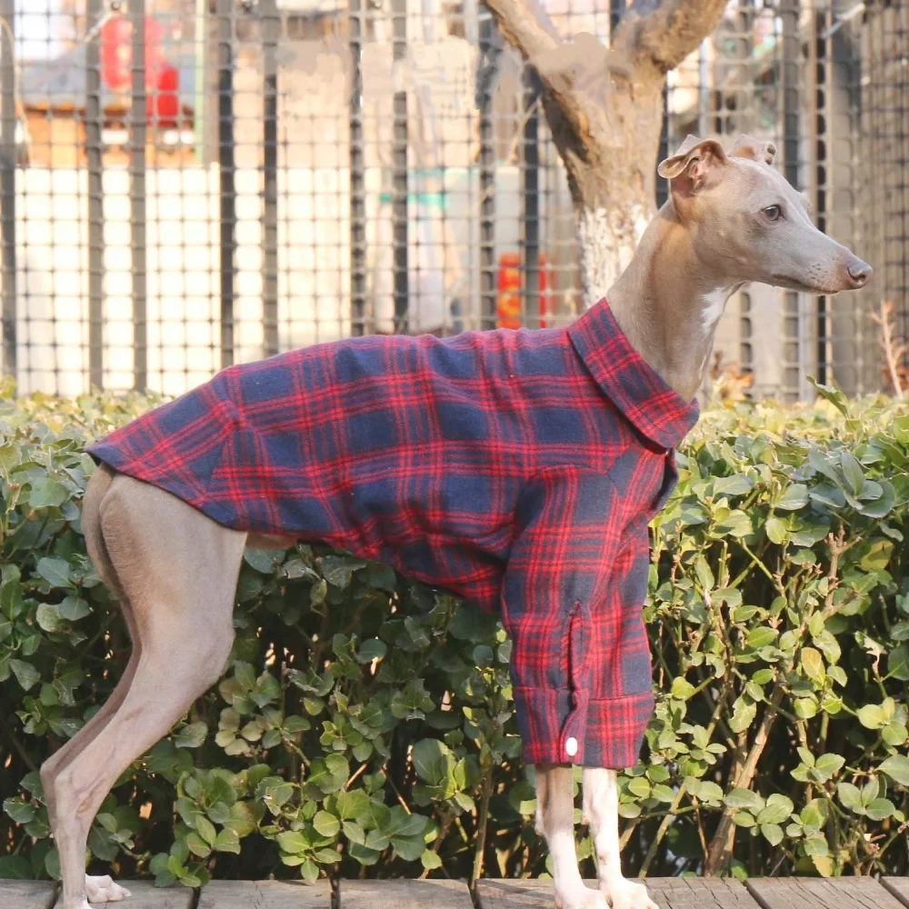 Abrigo de primavera de manga larga de algodón a la moda para perros Terrier, camisa a cuadros suave para chaqueta Whippet de galgo italiano en otoño - imagen 5