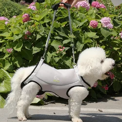 Bolsa potenciadora de asistencia para la debilidad Hindleg para perros y mascotas, mochila de malla para salir de peluche, correa para perros, productos para mascotas