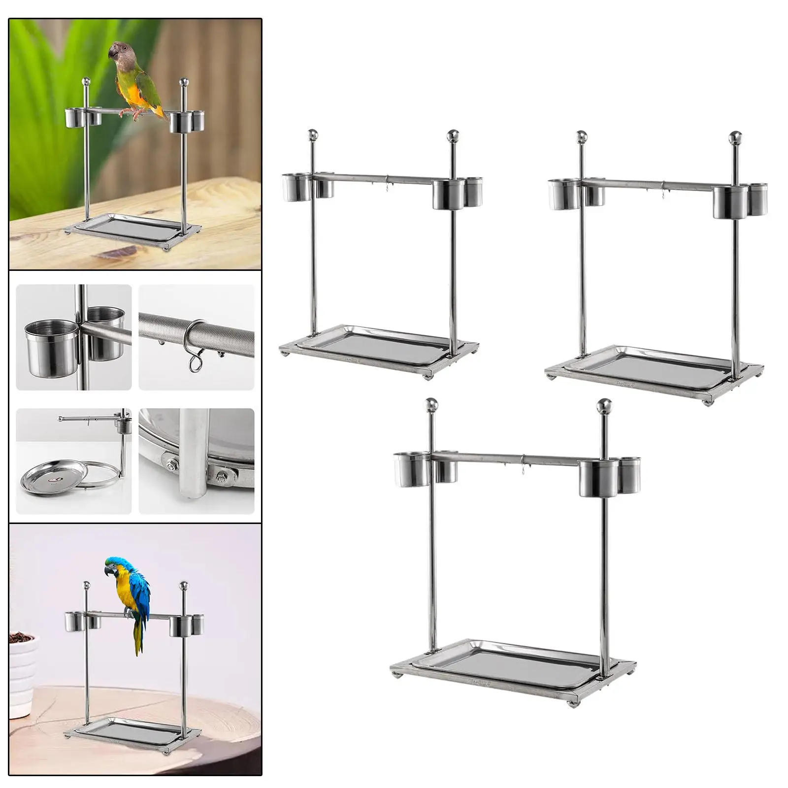 Pet Parrot Playstand Tabletop Bird Stand for Finches Cockatiels Cockatoo