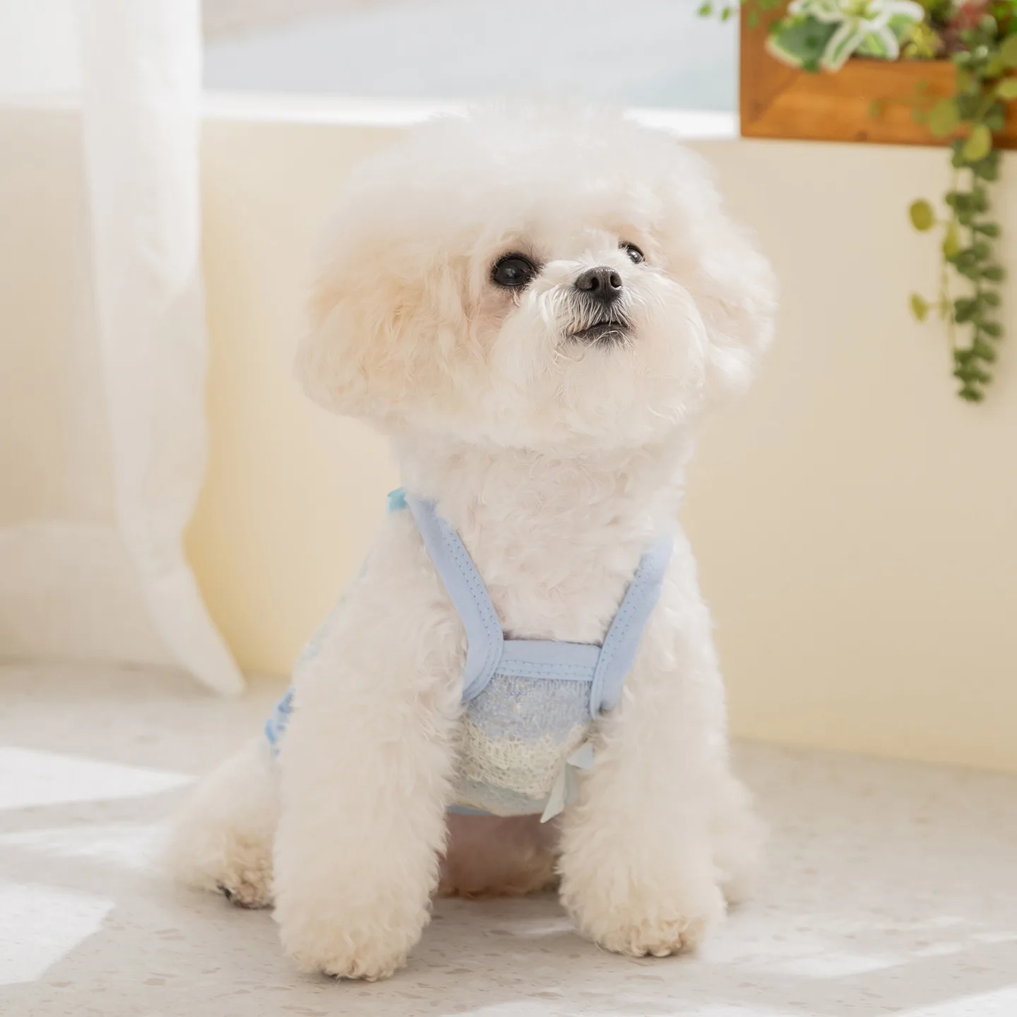 Camiseta de malla transpirable para perros con protección solar - imagen 2