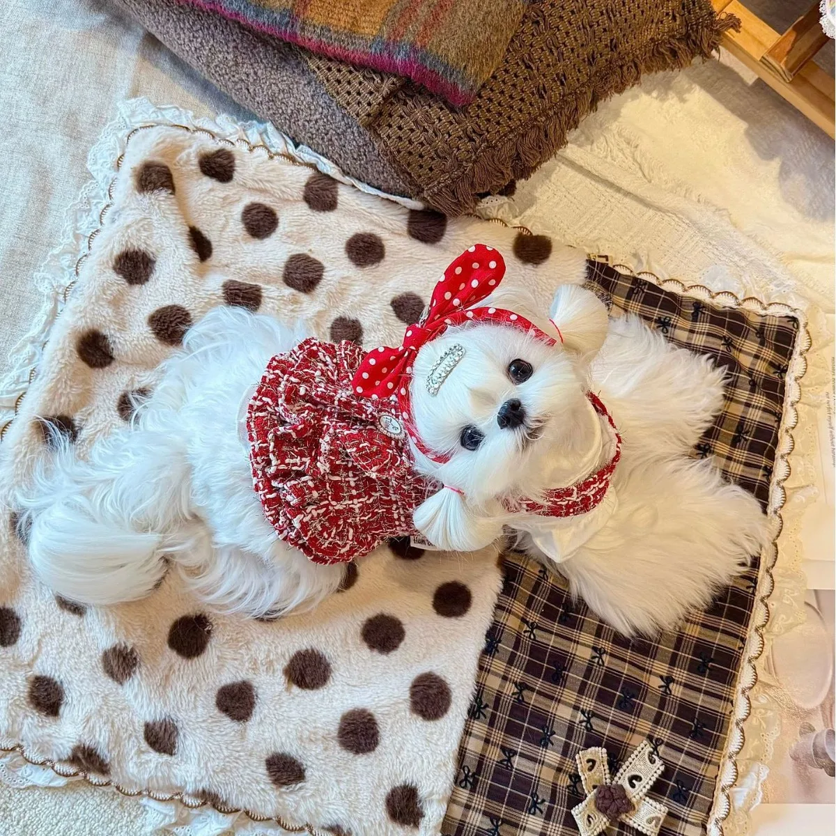Falda princesa con lazo rojo para perros mini y gatos cálida invierno - imagen 4