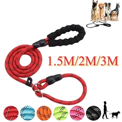 Correa nylon para perros – Resistente, cómoda y segura para el paseo