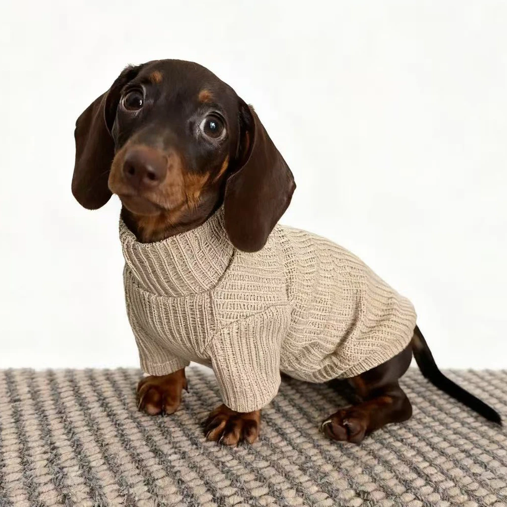 Suéter de punto de invierno para perros tejón, ropa de descanso de otoño para perros Wiener, chaleco de invierno, traje para perros pequeños salchicha
