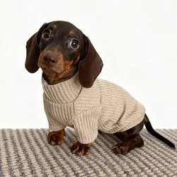 Suéter de punto para perro salchicha abrigo invierno muy cómodo