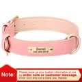 Pink Collar