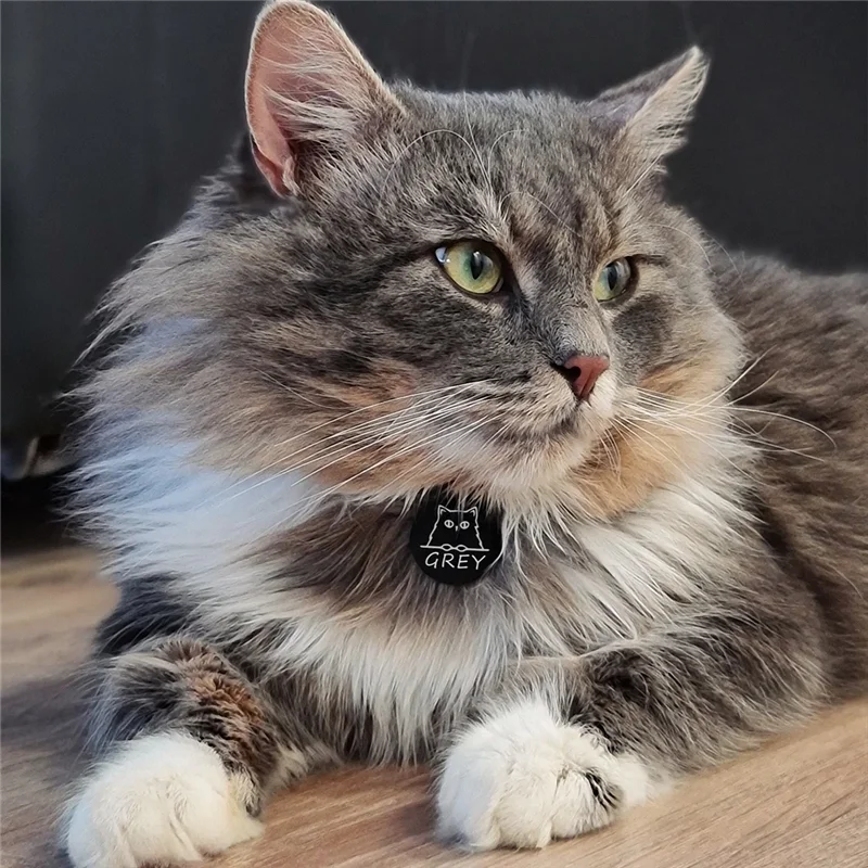 Etiquetas de identificación personalizadas para mascotas, accesorios para Collar con cara de gato, etiquetas de nombre, colgante de Collar de identificación, etiqueta antipérdida grabada gratis personalizada - imagen 2