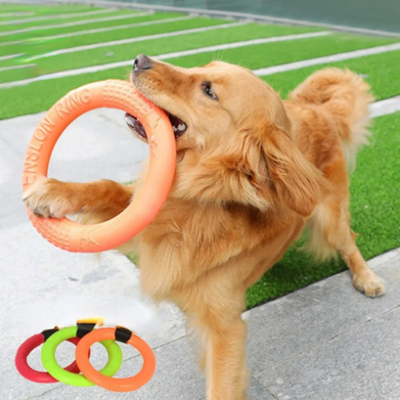 Juguetes naranjas para perros, disco volador para mascotas, anillo de entrenamiento, extractor interactivo de EVA, resistente, 1 ud. - imagen 2