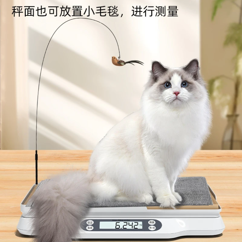 Báscula para mascotas, báscula para gatos, báscula para perros, tienda de mascotas, báscula electrónica de precisión para el hogar - imagen 5