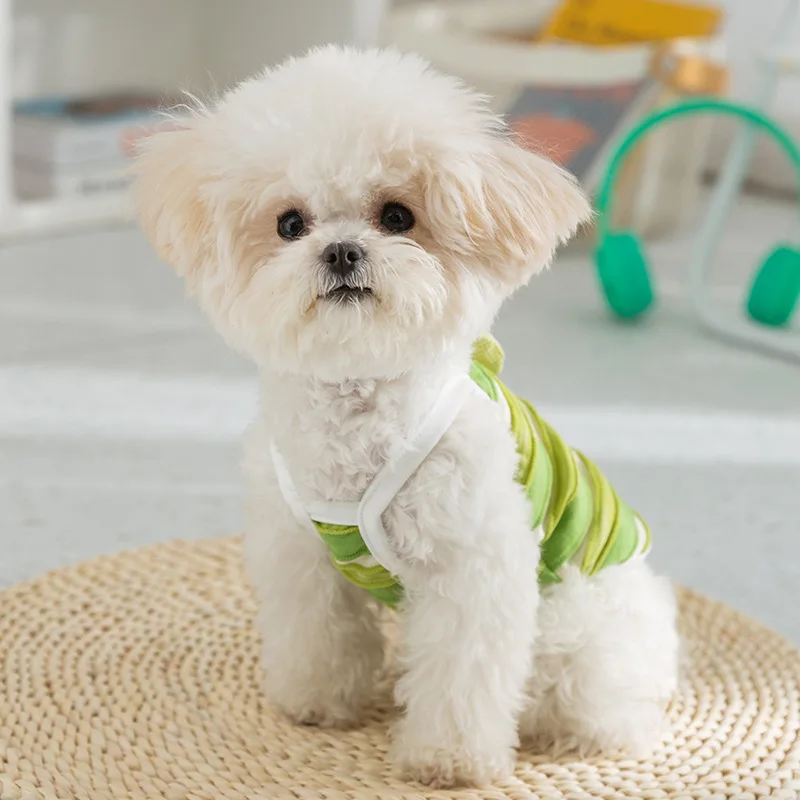 Camisola a rayas para primavera/verano para mascotas, camisola fina de dos pies, ropa transpirable para gatos y mascotas, chaleco refrescante para perros y cachorros - imagen 3